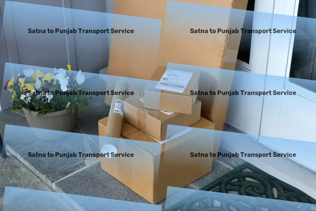 Satna to Punjab Packers And Movers High-value cargo transport